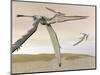 Two Pteranodons Flying over Small Islands-null-Mounted Art Print