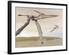 Two Pteranodons Flying over Small Islands-null-Framed Art Print