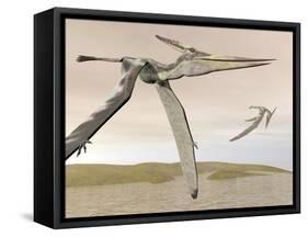 Two Pteranodons Flying over Small Islands-null-Framed Stretched Canvas