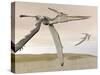 Two Pteranodons Flying over Small Islands-null-Stretched Canvas