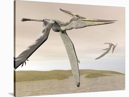 Two Pteranodons Flying over Small Islands-null-Stretched Canvas