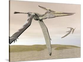 Two Pteranodons Flying over Small Islands-null-Stretched Canvas