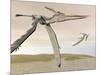 Two Pteranodons Flying over Small Islands-null-Mounted Art Print