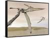 Two Pteranodons Flying over Small Islands-null-Framed Stretched Canvas