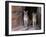 Two Puma Mountain Lion Cougar at Cave Entrance. Arizona, USA-Philippe Clement-Framed Photographic Print