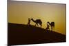 Two Rabari men climbing a dune with their dromedaries at sunset, Great Rann of Kutch Desert, India-G&M Therin-Weise-Mounted Photographic Print