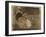 Two Rabbits, One Eating Carrots-Joseph Crawhall-Framed Giclee Print