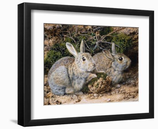 Two Rabbits-John Sherrin-Framed Giclee Print