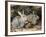 Two Rabbits-John Sherrin-Framed Giclee Print