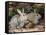 Two Rabbits-John Sherrin-Framed Stretched Canvas