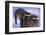 Two Raccoons-DLILLC-Framed Photographic Print