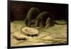 Two Rats, C.1884-Vincent van Gogh-Framed Giclee Print