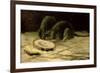 Two Rats, C.1884-Vincent van Gogh-Framed Giclee Print