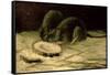 Two Rats, C.1884-Vincent van Gogh-Framed Stretched Canvas