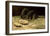 Two Rats, C.1884-Vincent van Gogh-Framed Giclee Print