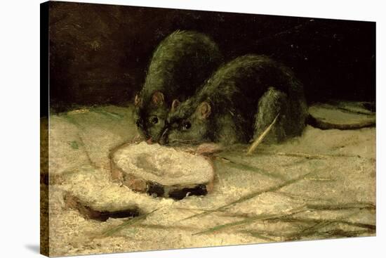 Two Rats, C.1884-Vincent van Gogh-Stretched Canvas