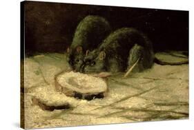 Two Rats, C.1884-Vincent van Gogh-Stretched Canvas