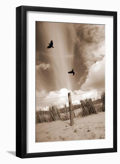 Two Raves Flying over the Dunes in Sepia Tones-Alaya Gadeh-Framed Photographic Print