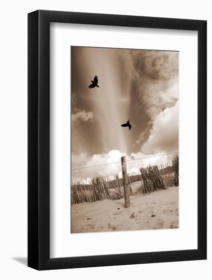 Two Raves Flying over the Dunes in Sepia Tones-Alaya Gadeh-Framed Photographic Print