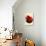 Two Red Apples-Kubistika-Giclee Print displayed on a wall