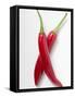 Two Red Chillies-null-Framed Stretched Canvas