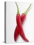 Two Red Chillies-null-Stretched Canvas