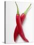 Two Red Chillies-null-Stretched Canvas