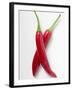 Two Red Chillies-null-Framed Photographic Print