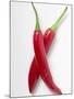 Two Red Chillies-null-Mounted Photographic Print