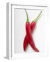 Two Red Chillies-null-Framed Photographic Print