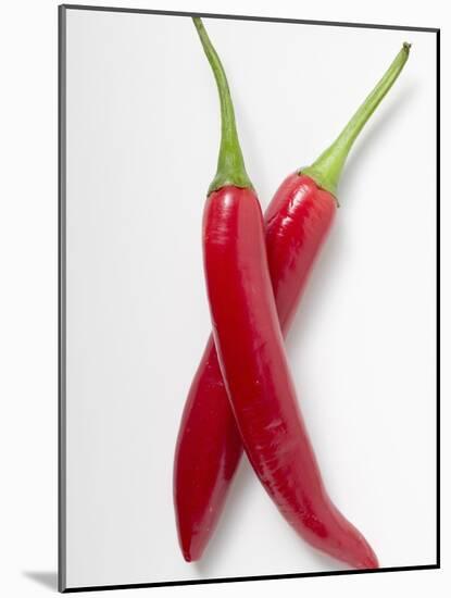 Two Red Chillies-null-Mounted Photographic Print