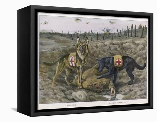 Two Red Cross Rescue Dogs a German Shepherd-Louis Agassiz Fuertes-Framed Stretched Canvas