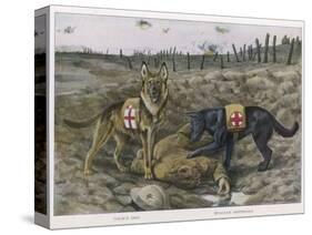 Two Red Cross Rescue Dogs a German Shepherd-Louis Agassiz Fuertes-Stretched Canvas