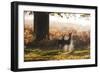 Two Red Deer Does, Cervus Elaphus, in Misty Richmond Park in the Fall-Alex Saberi-Framed Photographic Print