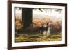 Two Red Deer Does, Cervus Elaphus, in Misty Richmond Park in the Fall-Alex Saberi-Framed Photographic Print