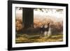 Two Red Deer Does, Cervus Elaphus, in Misty Richmond Park in the Fall-Alex Saberi-Framed Photographic Print