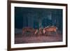 Two Red Deer Stags Battle Early One Morning in Richmond Park-Alex Saberi-Framed Photographic Print