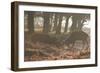 Two Red Deer Stags Battle Early One Morning in Richmond Park-Alex Saberi-Framed Photographic Print