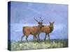 Two Red Deer-Stephen Mitchell-Stretched Canvas