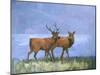Two Red Deer-Stephen Mitchell-Mounted Art Print