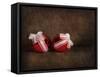 Two Red Ornaments Still Life-Jai Johnson-Framed Stretched Canvas