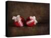 Two Red Ornaments Still Life-Jai Johnson-Stretched Canvas