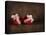 Two Red Ornaments Still Life-Jai Johnson-Stretched Canvas