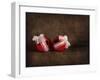 Two Red Ornaments Still Life-Jai Johnson-Framed Giclee Print