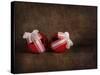 Two Red Ornaments Still Life-Jai Johnson-Stretched Canvas