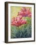Two Red Poppies-Marion Rose-Framed Giclee Print