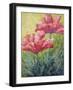 Two Red Poppies-Marion Rose-Framed Giclee Print