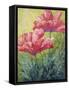 Two Red Poppies-Marion Rose-Framed Stretched Canvas