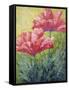 Two Red Poppies-Marion Rose-Framed Stretched Canvas