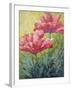 Two Red Poppies-Marion Rose-Framed Giclee Print